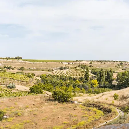 Landsted El Pico