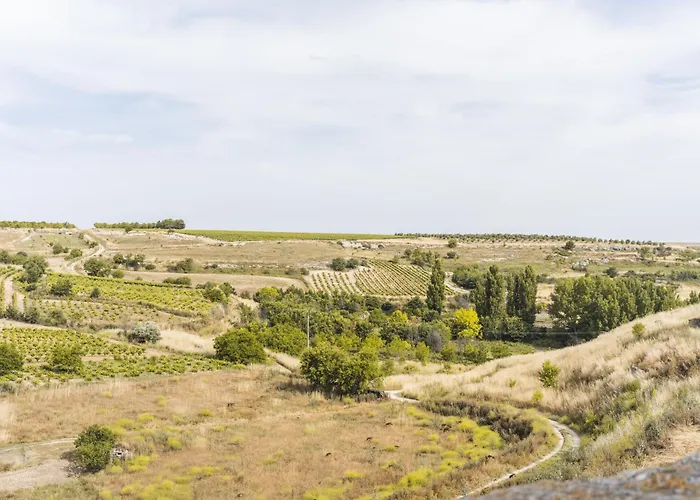 El Pico Kır Evi Canalejas de Peñafiel